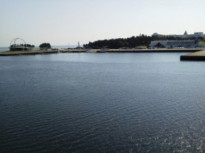 tokyo_wakasu